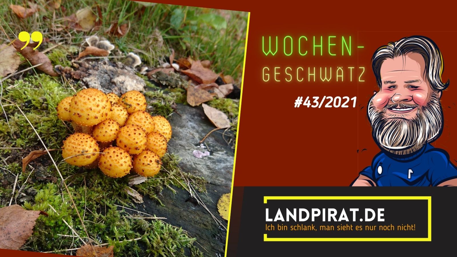 Read more about the article Wochengeschwätz #43/2021
