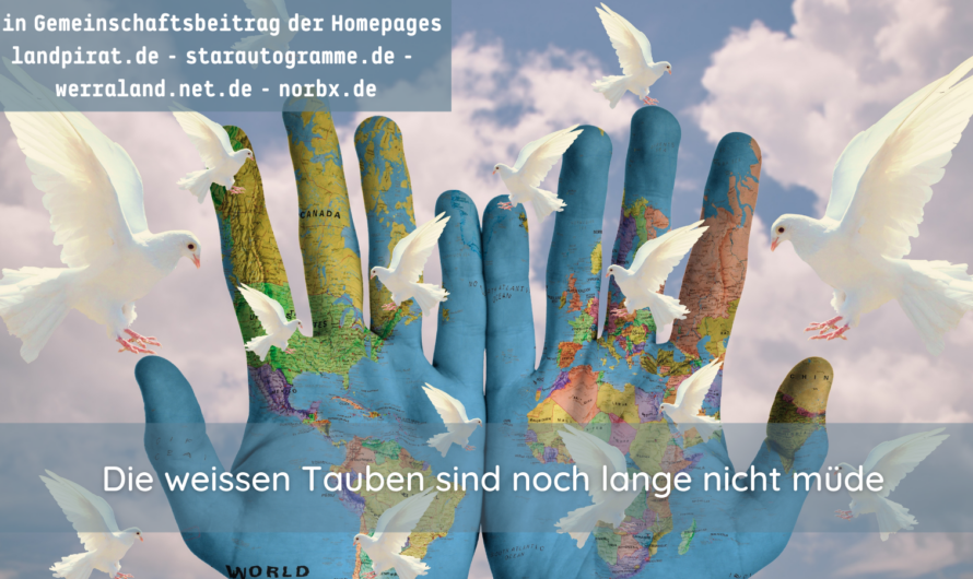 Die weißen Tauben sind noch lange nicht müde