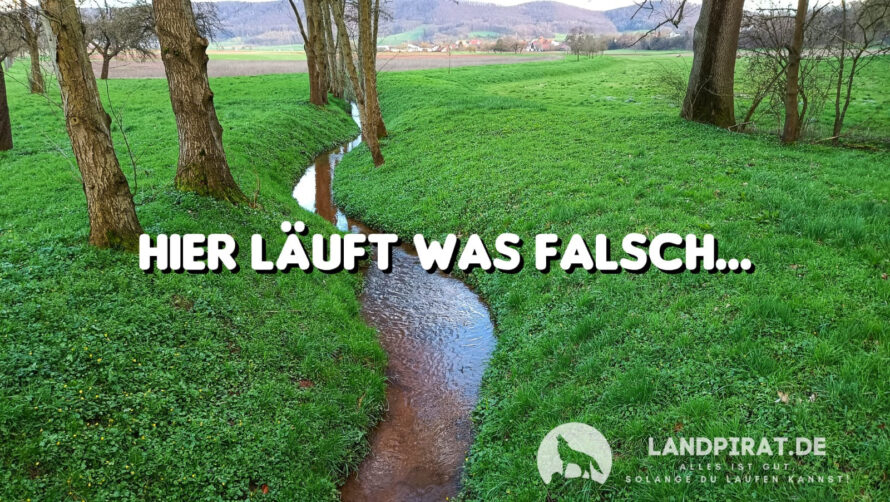 Hier läuft was falsch