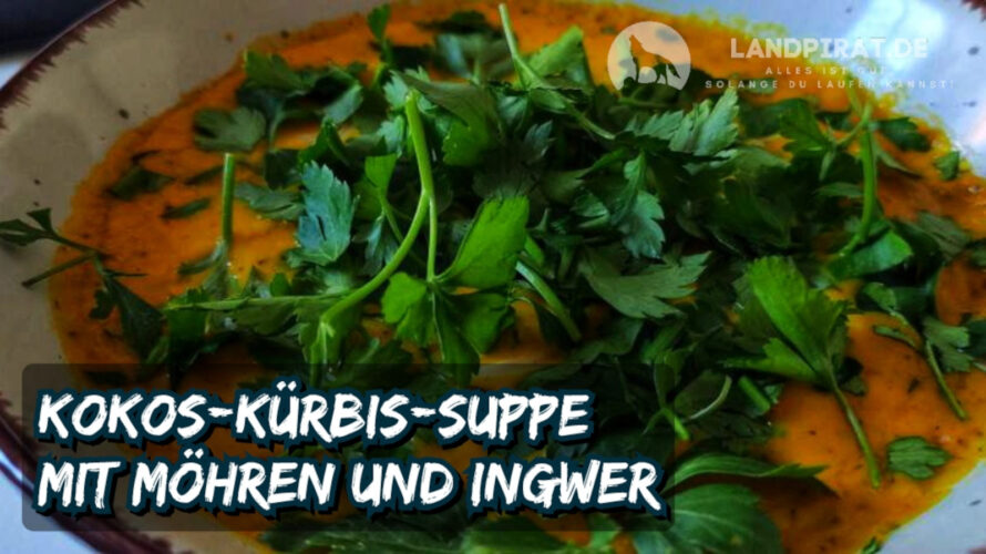 Kokos-Kürbis-Suppe mit Möhren und Ingwer