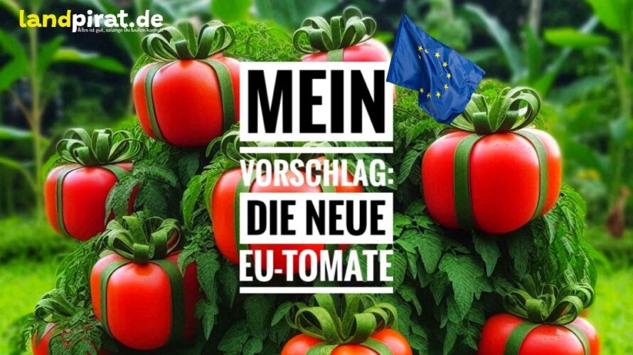 Mein Vorschlag: Die neue EU-Tomate