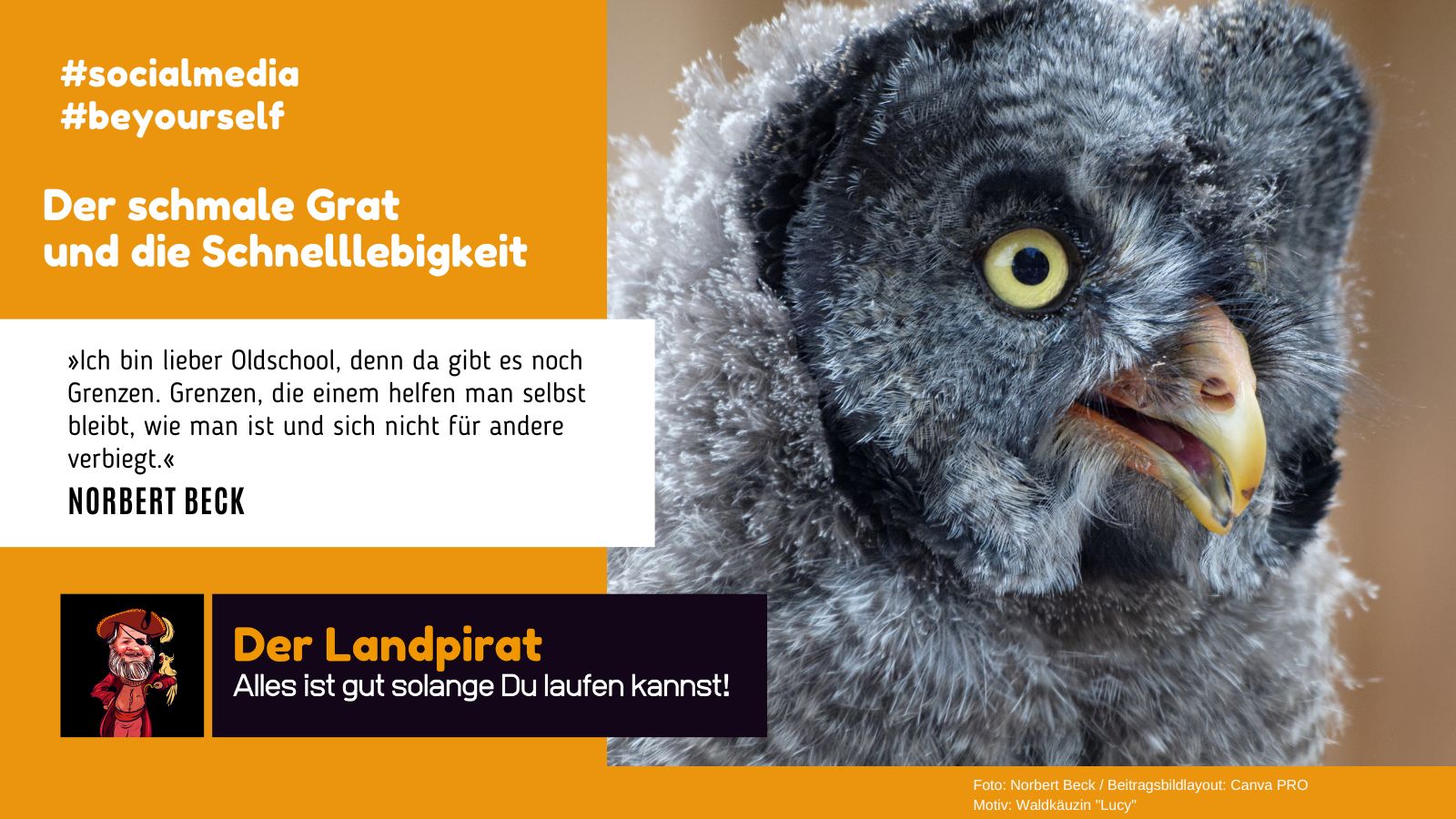 Der schmale Grat und die Schnelllebigkeit