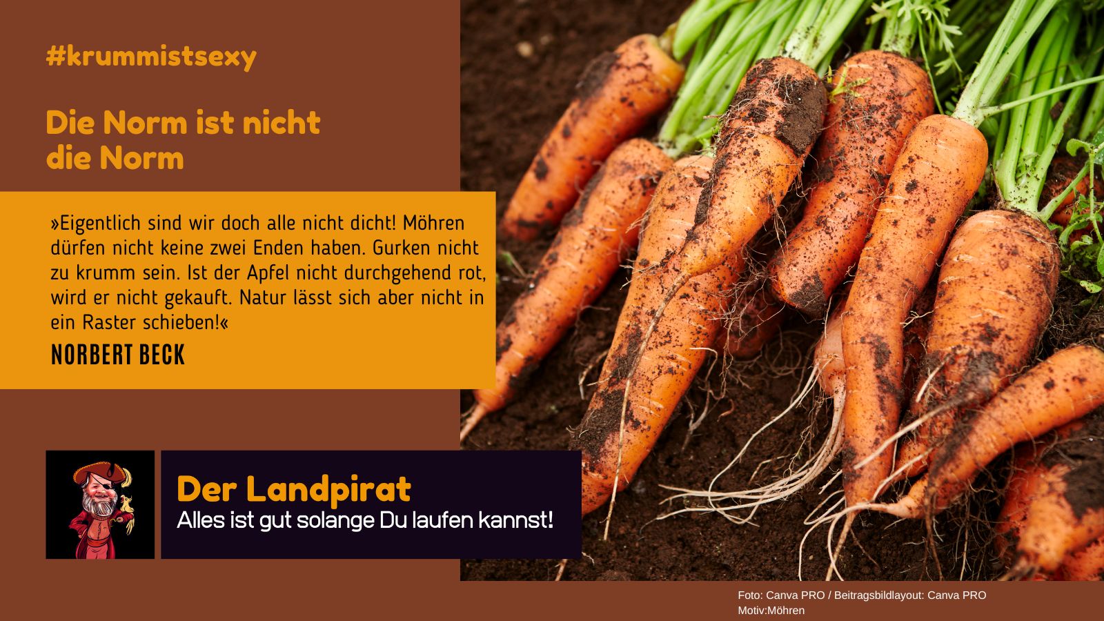 Die Norm ist nicht die Norm