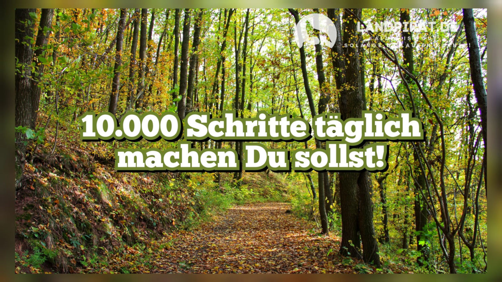 10.000 Schritte täglich machen Du sollst!