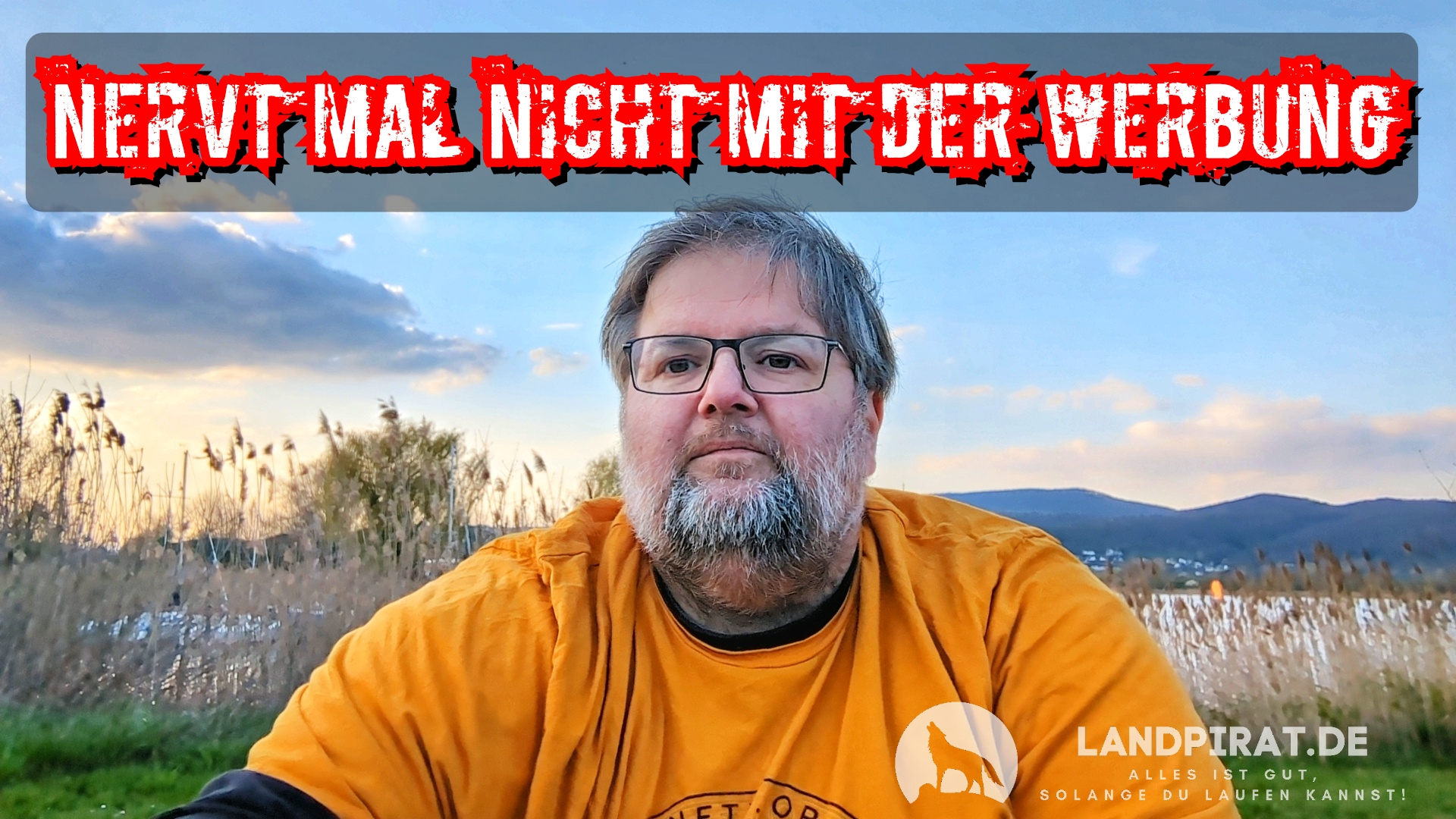Nervt mal nicht mit der Werbung