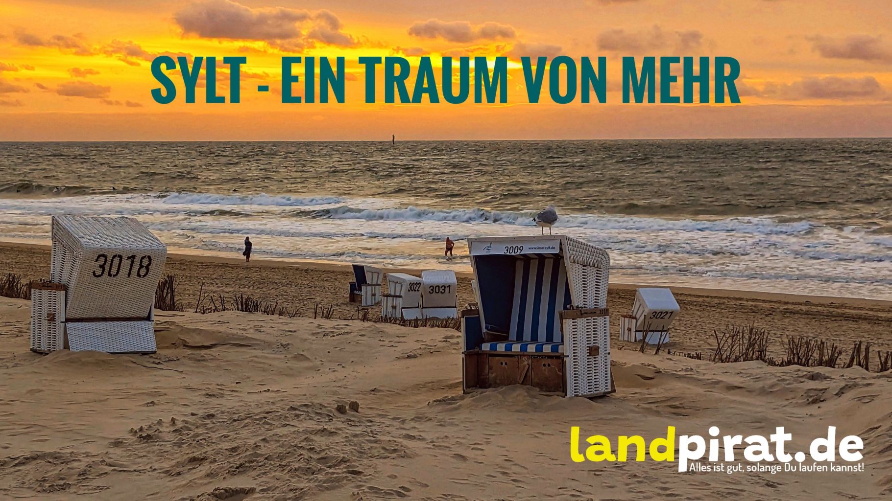Sylt – Ein Traum von mehr